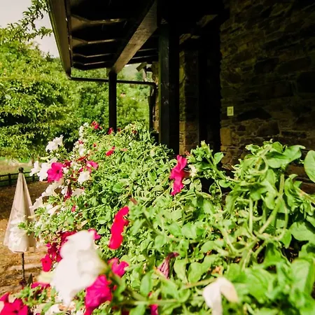 Apartamento Casa Calma Rural *