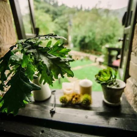 Apartamento Casa Calma Rural *