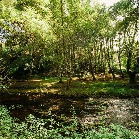 公寓 Casa Calma Rural *